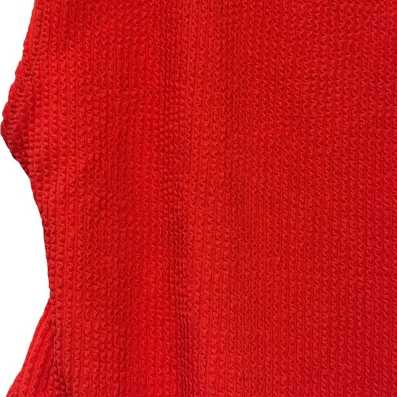 Aerie Crinkle Birthday Scoop Cheekiest 1 Pc - Picture 6 of 11